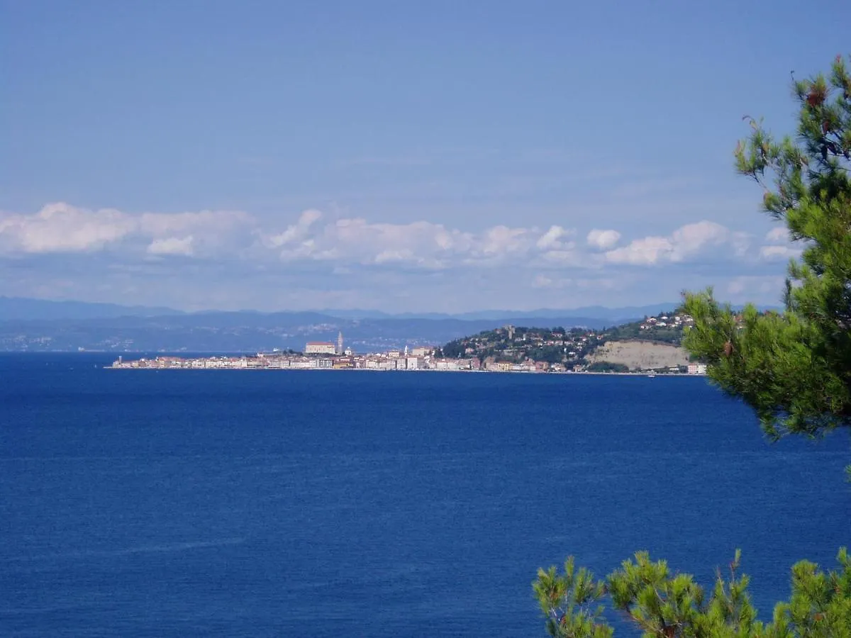 Apartman Villa Del Golfo