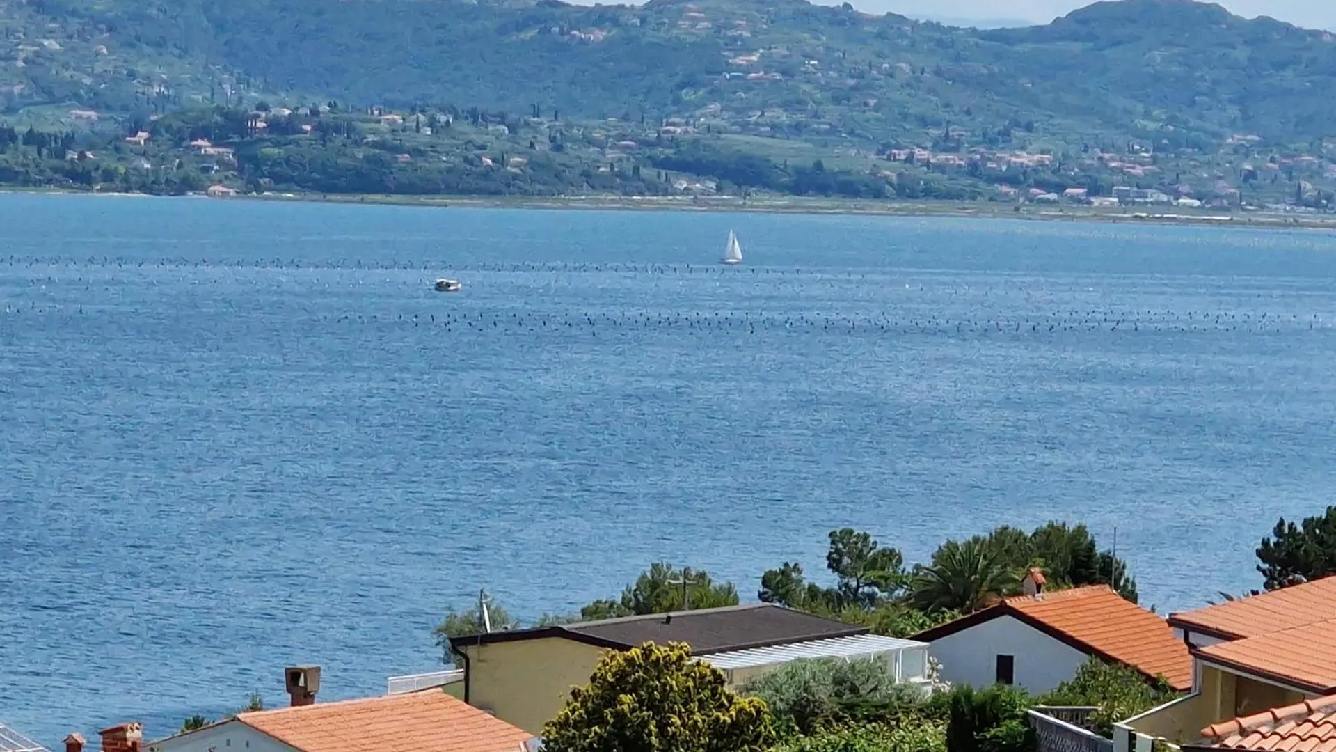 Villa Del Golfo Savudrija